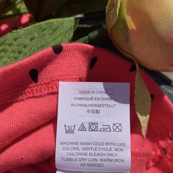 JCrew pink seeded green ringer watermelon t shirt NWOT Small - Picture 5 of 7